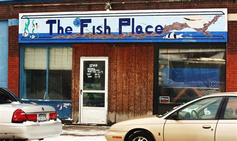 the fish site|About The Fish Site.